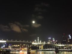 -蒲公英(五里店)