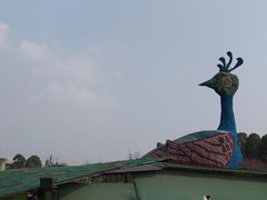 -秀丽东方