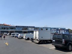 -悉尼鱼市场