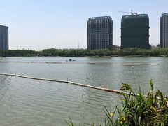 -南翔镇银翔湖公园