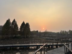 -昆山城市生态森林公园