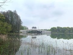 -东湖落雁景区