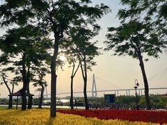 -芒洲湿地公园
