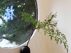 -椿风·养身茶饮(吉大店)