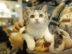 -之悦咖啡馆(新星宇·之洲店)