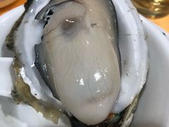 -蚝专家(北滘店)