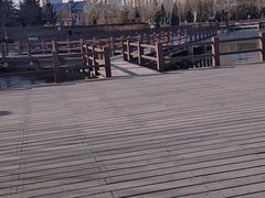 -绿岛公园(滨海新区)