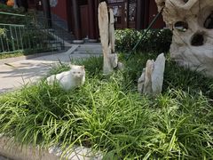 -天津市峰山药王古寺