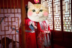 -金夫人婚纱摄影(华南店)