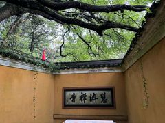 -普陀山慧济禅寺