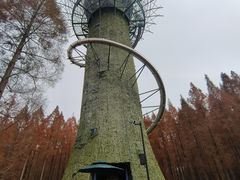 -黄海国家森林公园