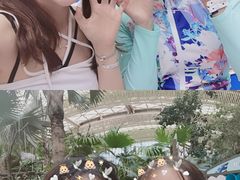 -杭州开元森泊度假乐园