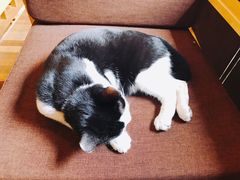 -猫的天空之城概念书店(杭州南宋御街店)