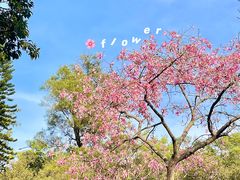-广州市白云山风景名胜区