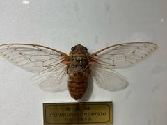 -上海昆虫博物馆