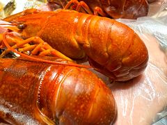 -新光酒家·河豚·海鲜·蟹料理(浦东店)