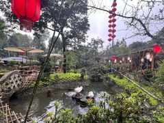 -青城甲(青城山店)