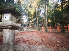 -奈良公园