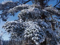 -瓦屋山景区
