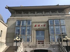 -武汉大学-樱园