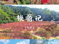 -白水带风景区体育公园