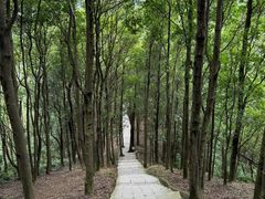 -阳台山森林公园