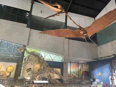 -湖南省地质博物馆