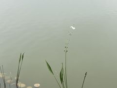 -东莞植物园