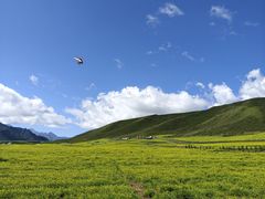 -扁都口生态休闲旅游区