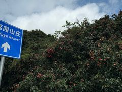 -南宁荔园维景国际酒店·荔园中餐厅