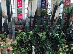 -石家庄市植物园
