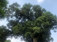 -金堂县云顶石城风景区