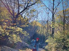 -云岫谷自然风景区