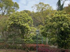 -平湖九龙山旅游度假区