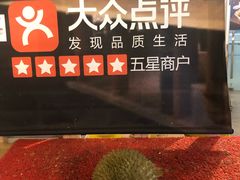 -都念榴莲·城市榴莲