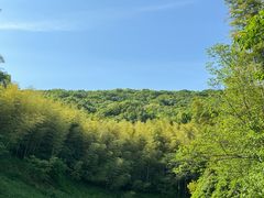 -南山风景名胜区