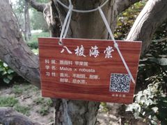 -迎泽公园
