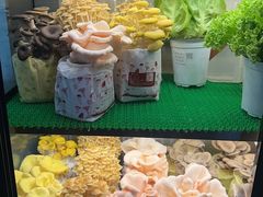 -烹然四季椰子鸡火锅(团结湖总店)