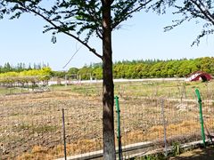 -嘉北郊野公园