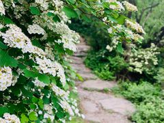 -阳台山自然风景区