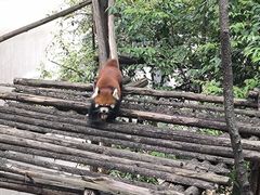 -昆明动物园