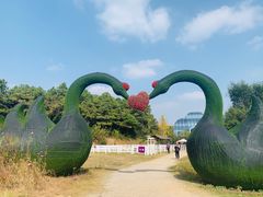 -大塘金香草谷