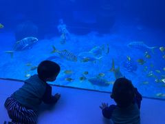 -太平洋海底世界