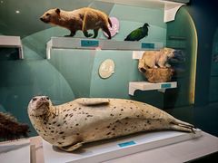 -国家自然博物馆