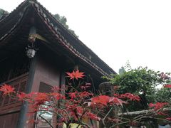 -峨眉山报国寺