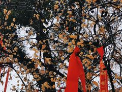 -宝通禅寺