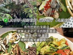 -西双版纳原始森林公园