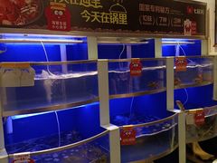 水产区-七欣天香辣蟹火锅(南京夫子庙店)