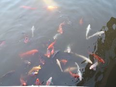 -春晖园度假酒店温泉