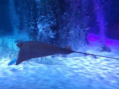 -沈阳海洋探索中心